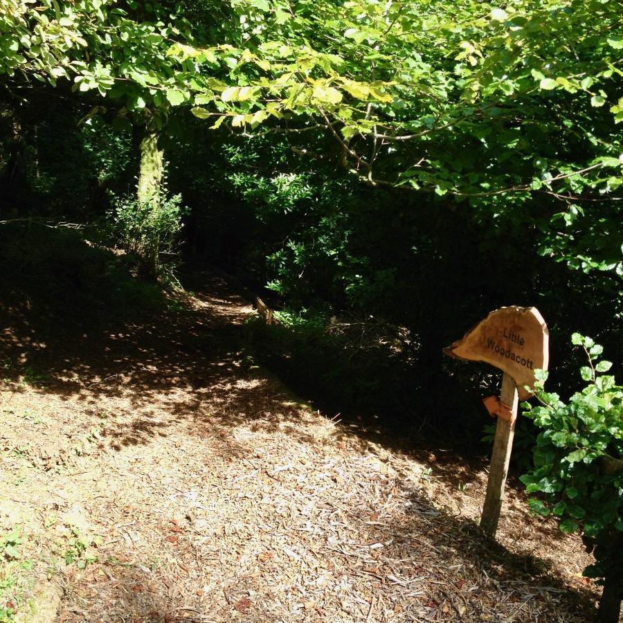 Little Woodacott * Barnstaple